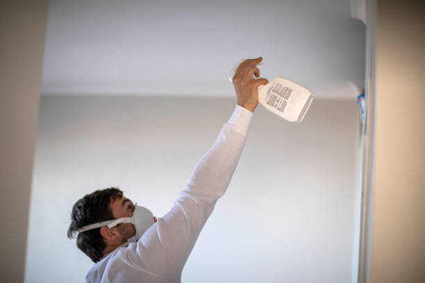 Best Mold Testing  in Thornville, OH